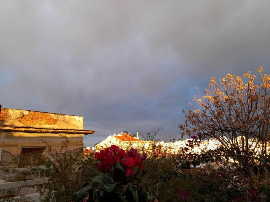 At The Foot Of Acropolis. Villa Athene Buitenkant foto