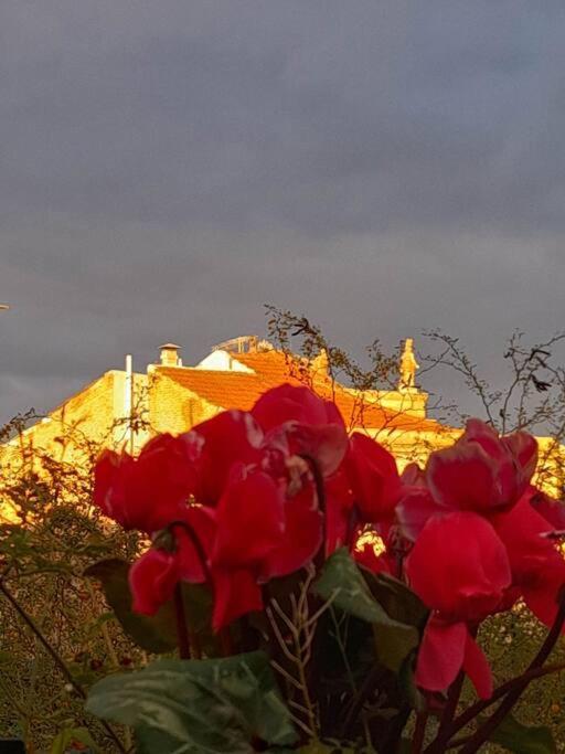 At The Foot Of Acropolis. Villa Athene Buitenkant foto
